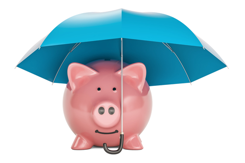 pig under umbrella shutterstock_703949590