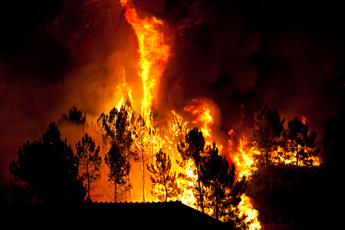 bushfire by Bruno Ismael Silva Alves shutterstock_112221542